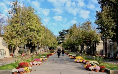 pere lachaise central part in automn